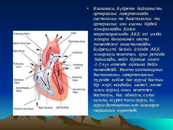  • Клиникасы. Б йрекке байланысты ү артериялы  гипертензияда  қ систолалы та