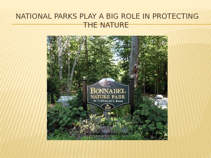 NATIONAL PARKS PLAY A BIG ROLE IN PROTECTING THE NATURE 