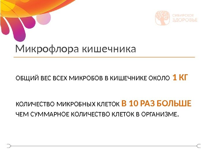 Микрофлора кишечника ОБЩИЙ ВЕС ВСЕХ МИКРОБОВ В КИШЕЧНИКЕ ОКОЛО 1 КГ КОЛИЧЕСТВО МИКРОБНЫХ КЛЕТОК