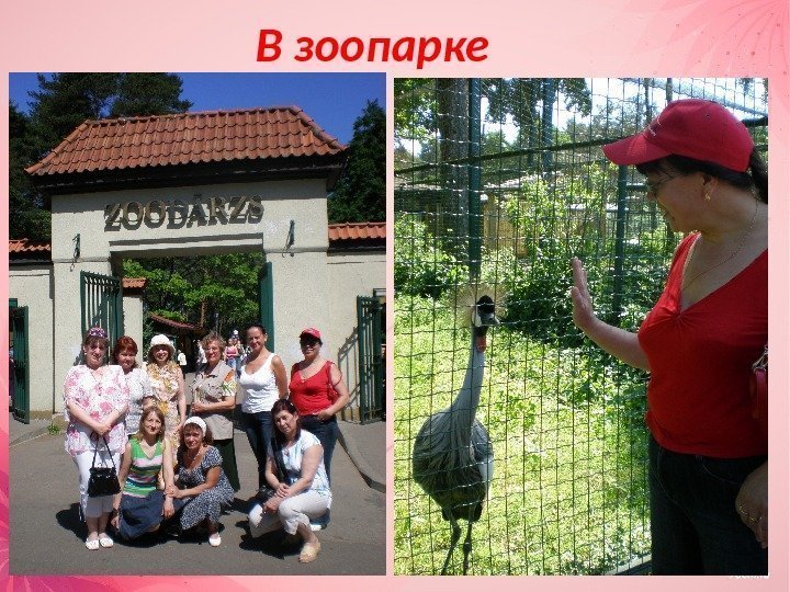 В зоопарке 