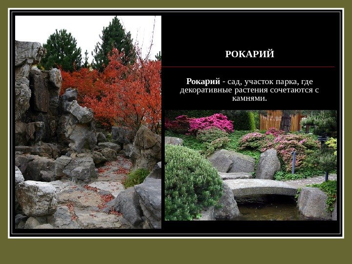 РОКАРИЙ Рокарий - сад, участок парка, где декоративные растения сочетаются с камнями. 