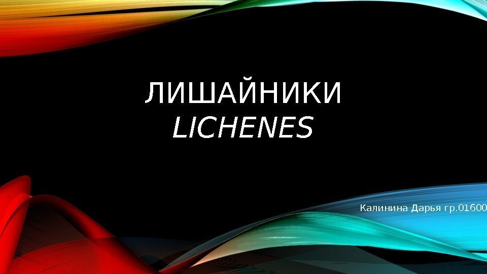 ЛИШАЙНИКИ LICHENES Калинина Дарья гр. 01600 