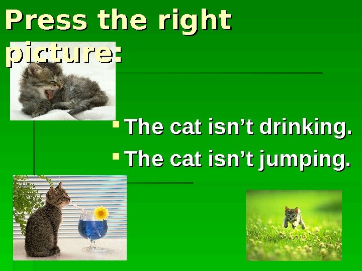  The cat isn’t drinking.  The cat isn’t jumping. Press the right