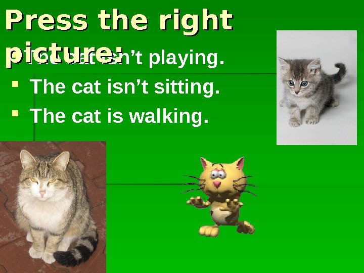  The cat isn’t playing. The cat isn’t sitting. The cat is walking.