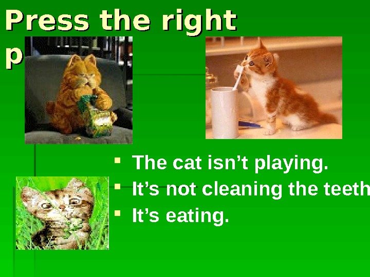   The cat isn’t playing. It’s not cleaning the teeth. It’s eating. Press