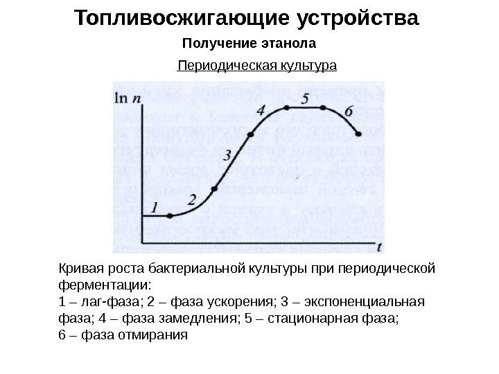 Топливосжигающие устройства Получение этанола Периодическая культура Кривая роста бактериальной культуры при периодической ферментации: 1