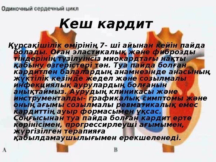 Құрсақішілік өмірінің 7 - ші айынан кейін пайда болады. Оған эластикалық және фиброзды тіндерінің