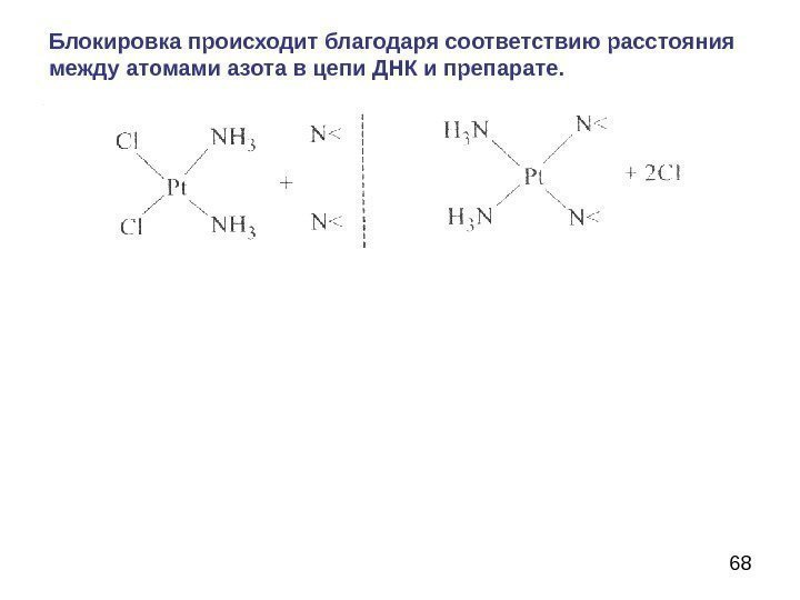 68 Блокировка происходит благодаря соответствию расстояния между атомами азота в цепи ДНК и препарате.