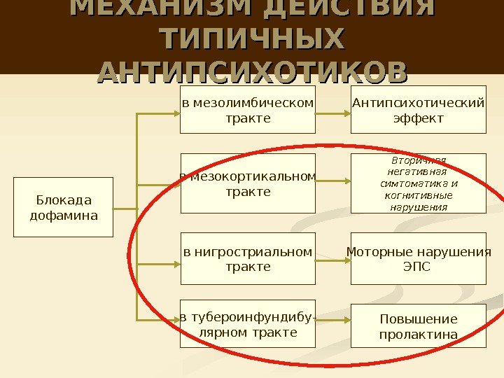 МЕХАНИЗМ ДЕЙСТВИЯ ТИПИЧНЫХ АНТИПСИХОТИКОВ Блокада дофамина в мезолимбическом тракте в мезокортикальном тракте в нигростриальном