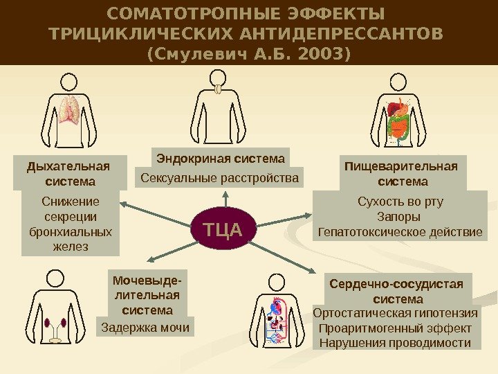 СОМАТОТРОПНЫЕ ЭФФЕКТЫ ТРИЦИКЛИЧЕСКИХ АНТИДЕПРЕССАНТОВ (Смулевич А. Б. 2003) ТЦАДыхательная система Сердечно-сосудистая система. Эндокриная система