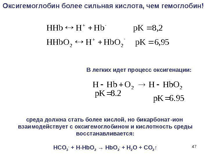 476, 95 p. K 8, 2 p. K   22  Hb. OHHHb.