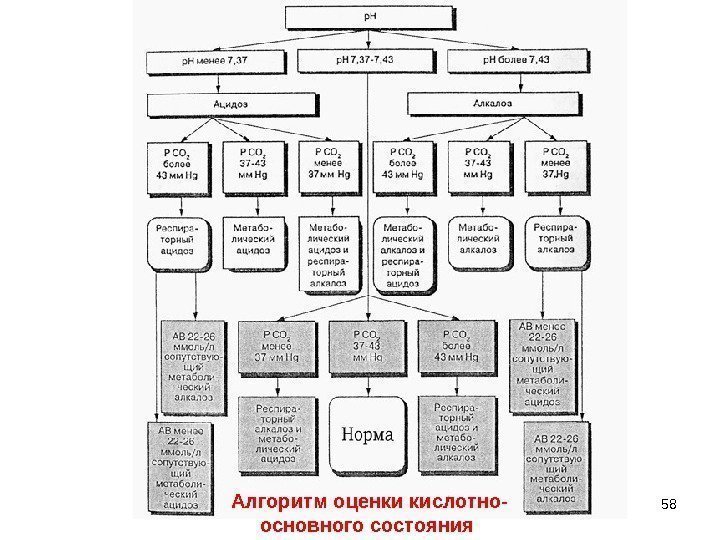 58 Алгоритм оценки кислотно- основного состояния 