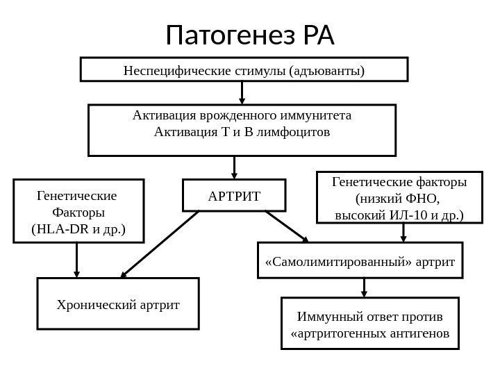 Патогенез РА Неспецифические стимулы (адъюванты) Активация врожденного иммунитета Активация Т и В лимфоцитов 