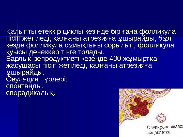 алыпты етеккір циклы кезінде бір ана фолликула Қ ғ пісіп жетіледі,  ал аны