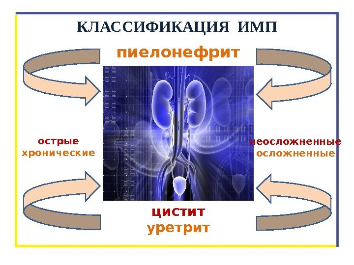 КЛАССИФИКАЦИЯ ИМП цистит уретритпиелонефрит острые хронические неосложненные 