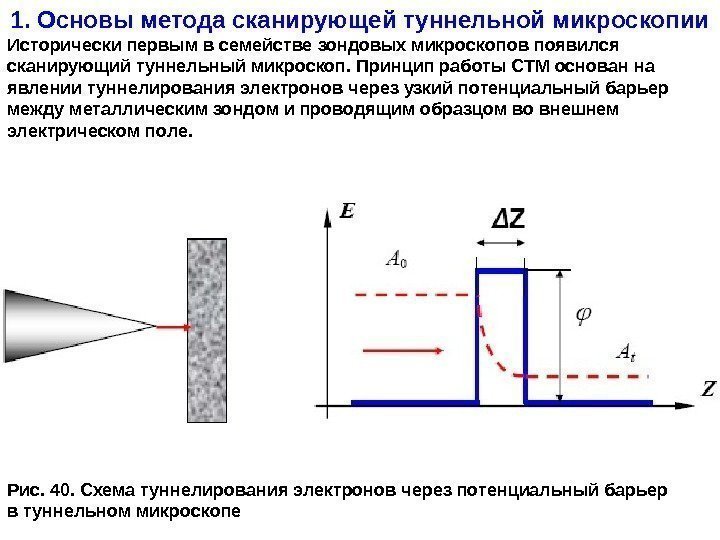 1. Основы метода сканирующей туннельной микроскопии Исторически первым в семействе зондовых микроскопов появился сканирующий