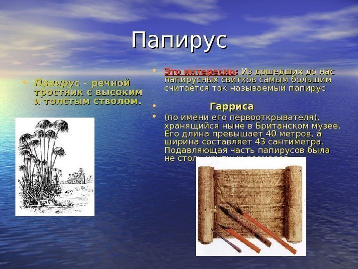 Папирус • Папирус – речной тростник с высоким и толстым стволом.  • Это
