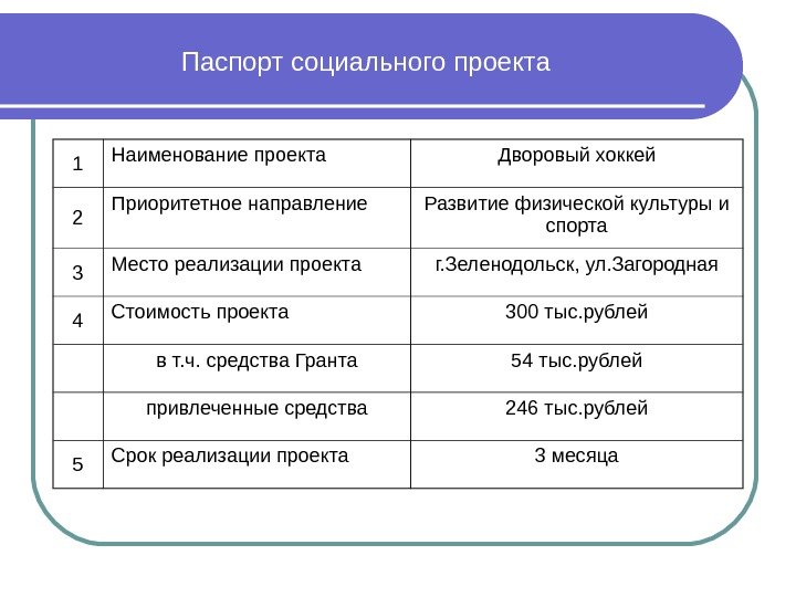 Паспорт социального проекта  1 Наименование проекта Дворовый хоккей  2 Приоритетное направление Развитие