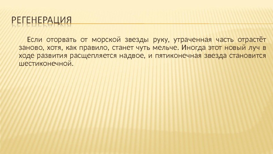   Если оторвать от морской звезды руку,  утраченная часть отрастёт заново, 