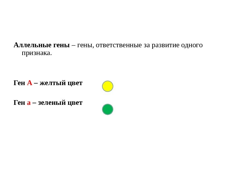 Аллельные гены – гены, ответственные за развитие одного признака. Ген А – желтый цвет