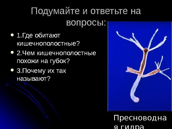 Подумайте и ответьте на вопросы:  1. Где обитают кишечнополостные?  2. Чем кишечнополостные