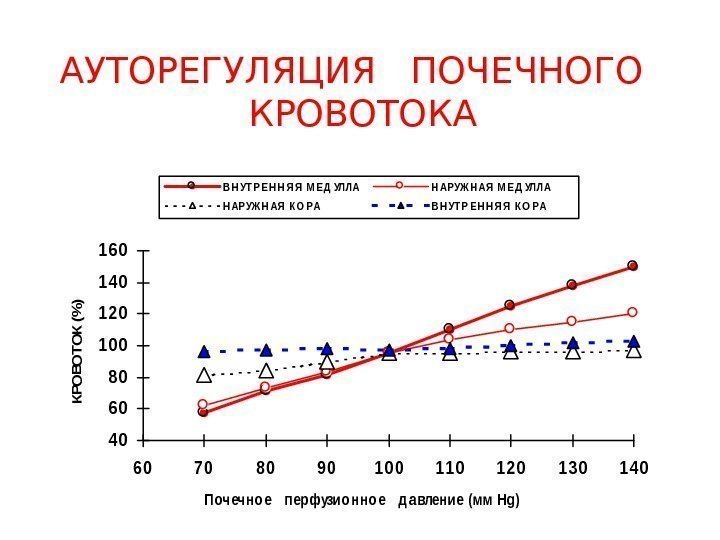   АУТОРЕГУЛЯЦИЯ  ПОЧЕЧНОГО  КРОВОТОКА 4 0 6 0 8 0 1