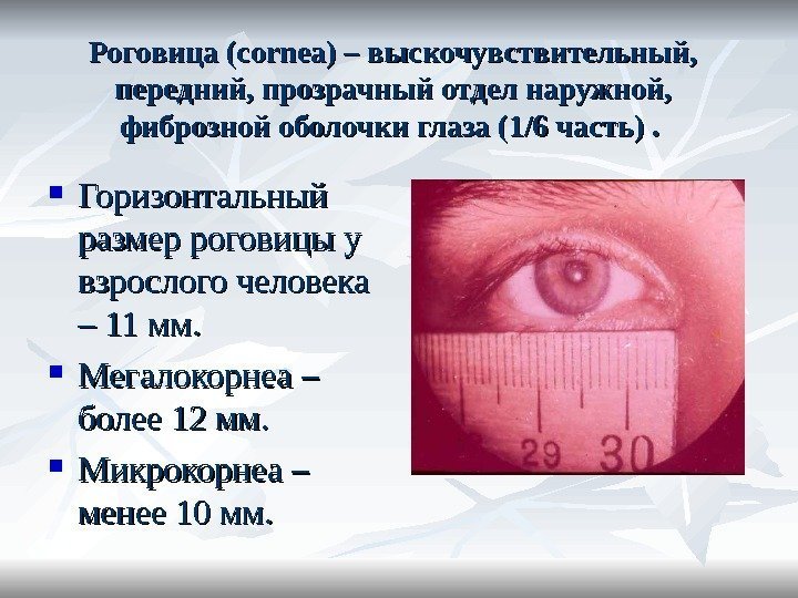 Роговица (cornea) – выскочувствительный,  передний, прозрачный отдел наружной,  фиброзной оболочки глаза (1/6