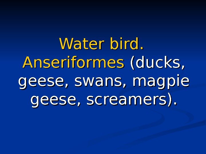   Water bird. Anseriformes (ducks,  geese, swans, magpie geese, screamers). 
