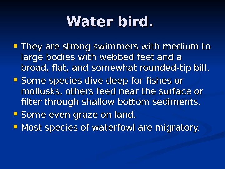   Water bird. They are strong swimmers with medium to large bodies with