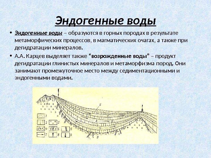 Эндогенные воды • Эндогенные воды  – образуются в горных породах в результате метаморфических