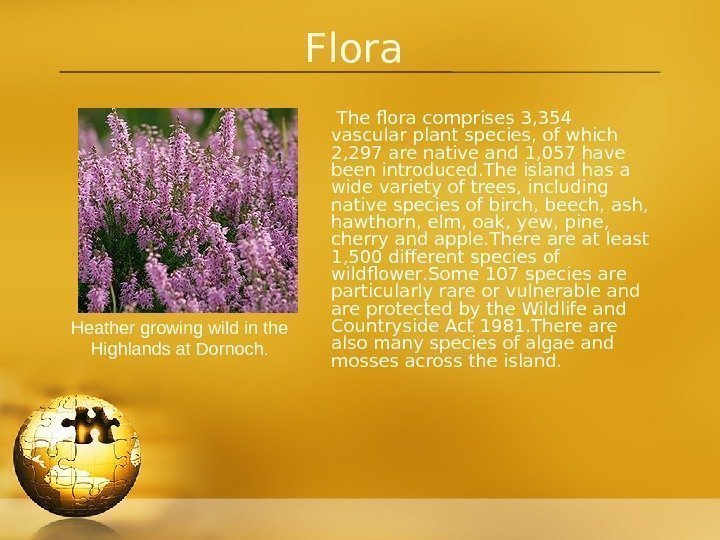 Flora  The flora comprises 3, 354 vascular plant species, of which 2, 297