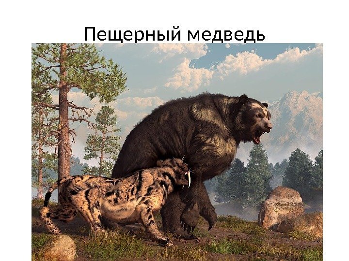 Пещерный медведь 