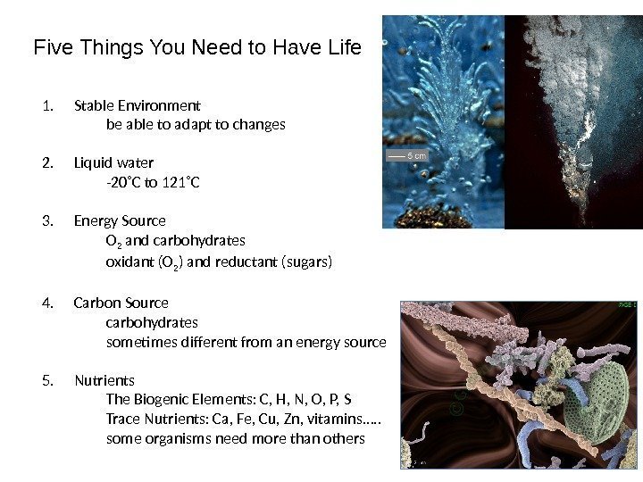 Five Things You Need to Have Life 1. Stable Environment be able to adapt