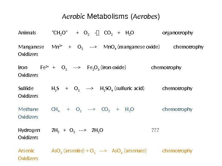 Aerobic Metabolisms ( Aerobes ) Animals “CH 2 O”  +  O 2