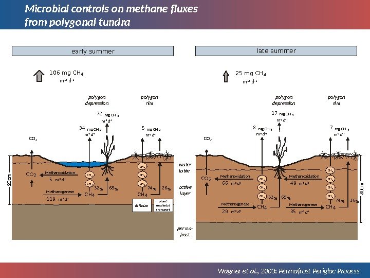 Microbial controls on methane fluxes from polygonal tundra Wagner et al. , 2003: Permafrost