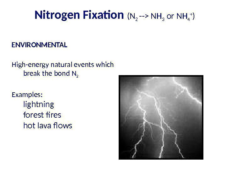 Nitrogen Fixation (N 2 -- NH 3 or NH 4 + ) ENVIRONMENTAL High-energy