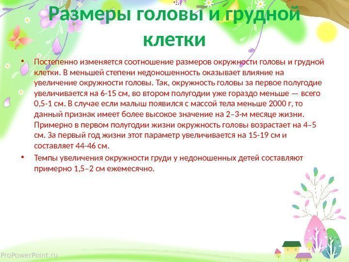 Pro. Power. Point. ru Размеры головы и грудной клетки • Постепенно изменяется соотношение размеров