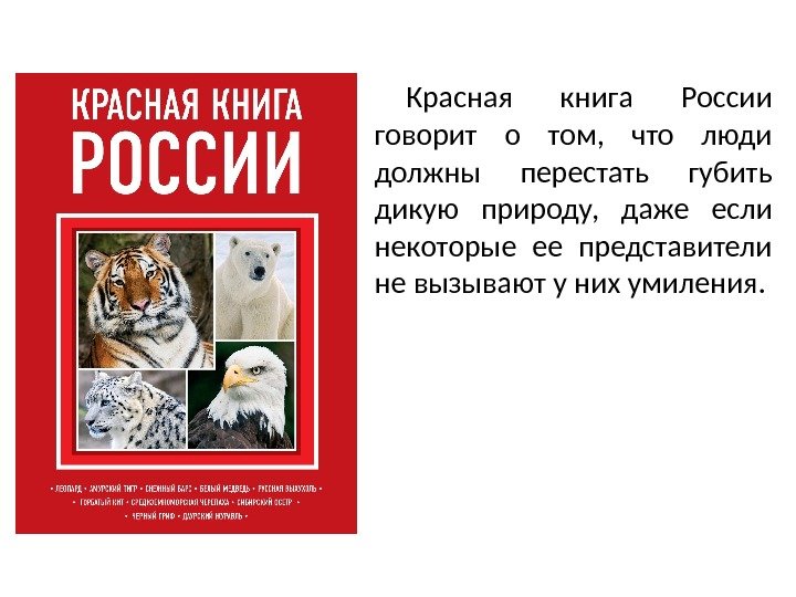 Красная книга России говорит о том,  что люди должны перестать губить дикую природу,