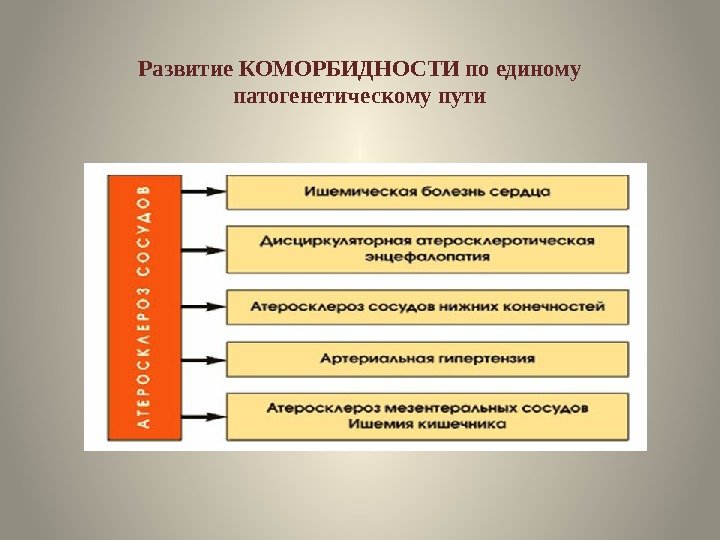 Развитие КОМОРБИДНОСТИ по единому патогенетическому пути 