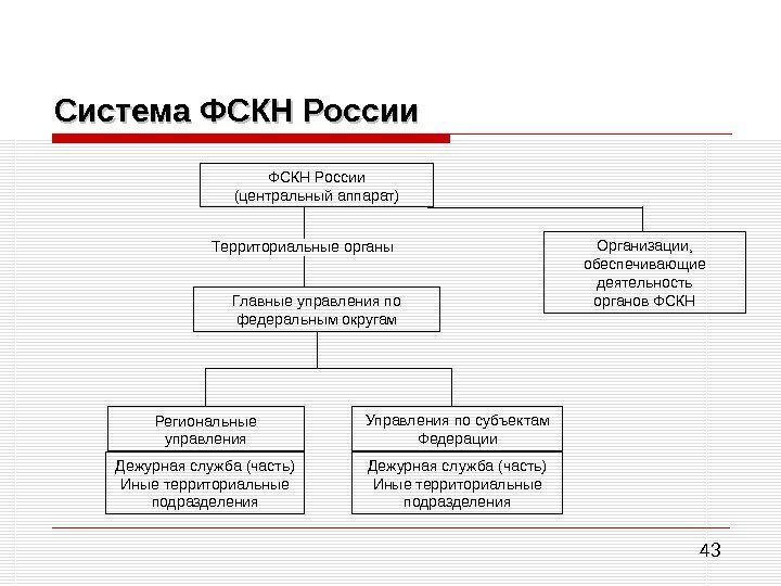 43 Система ФСКН России (центральный аппарат) Территориальные органы Главные управления по федеральным округам Организации,