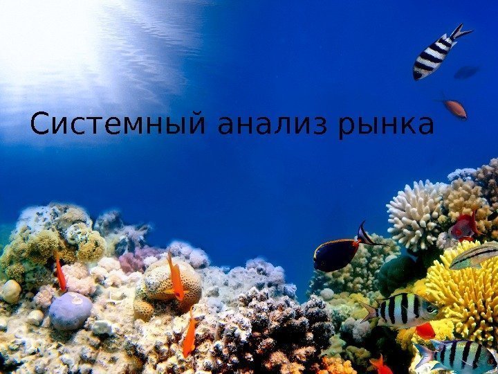 Системный анализ рынка 