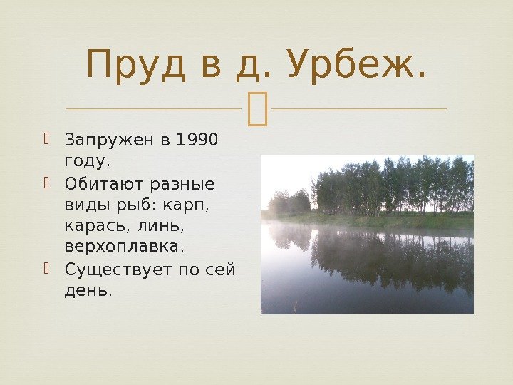 Пруд в д. Урбеж.  Запружен в 1990 году.  Обитают разные виды рыб: