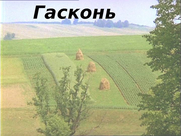 Гасконь 