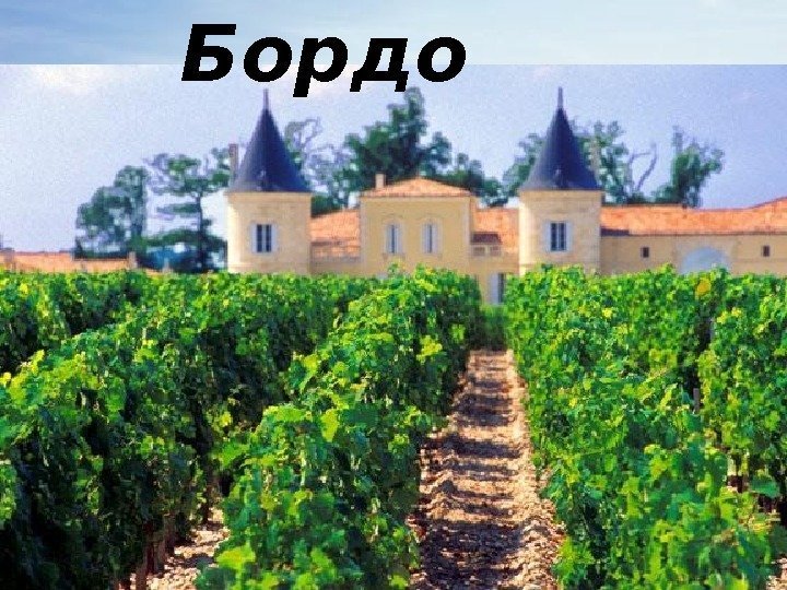 Бордо 