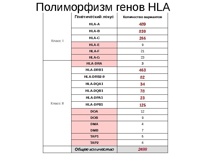 Полиморфизм генов HLA Генетический локус Количество вариантов Класс I HLA-A 489 HLA-B 830 HLA-C