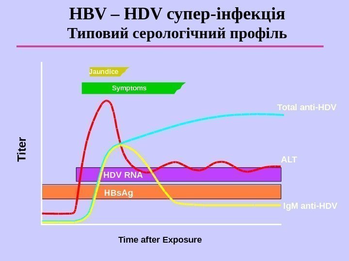   HBV – HDV супер-інфекція Типовий серологічний профіль Jaundice Symptoms ALTTotal anti-HDV Ig.