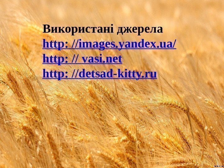Використані джерела http:  //images. yandex. ua/ http:  // vasi. net http :