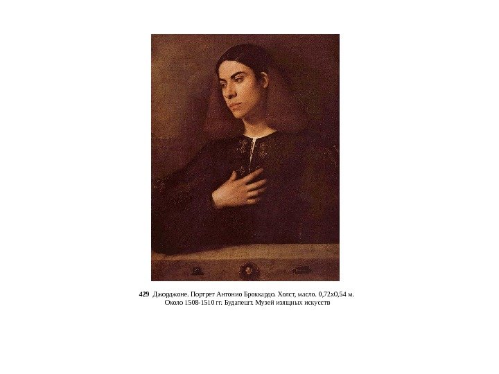429  Джорджоне. Портрет Антонио Броккардо. Холст, масло. 0, 72 x 0, 54 м.