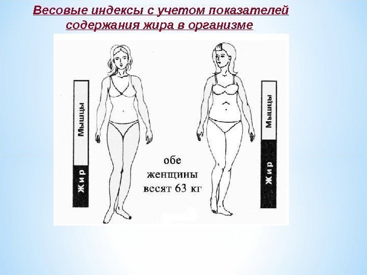 Весовые индексы с учетом показателей содержания жира в организме  