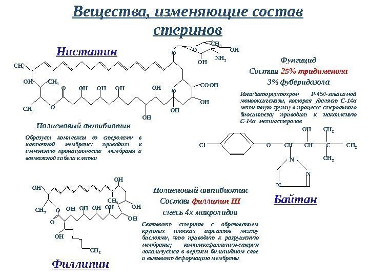 Вещества, изменяющие состав стеринов Полиеновый антибиотик Состав :  филлипин III смесь 4 х